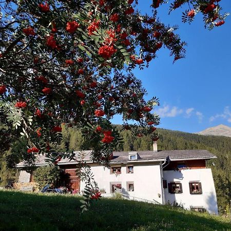 Fuldera Daint Chasa Zanoli Whg Im Zweiten Stock Kültér fotó