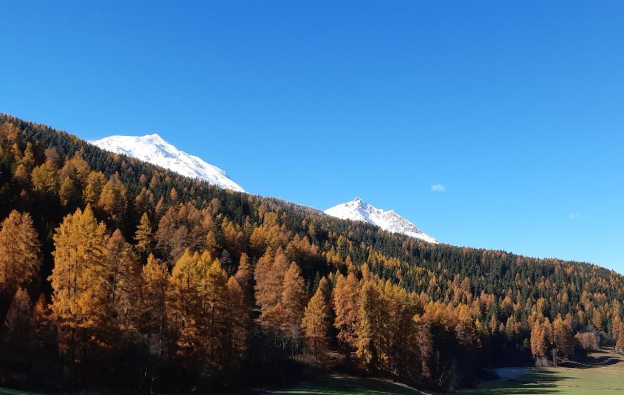 Fuldera Daint Chasa Zanoli Whg Im Zweiten Stock Kültér fotó